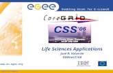 INFSO-RI-508833 Enabling Grids for E-sciencE  Life Sciences Applications José R. Valverde EMBnet/CNB.