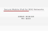 Secure Mobile IPv6 for B3G Networks 指導教授 : 黃培壝 老師 學生 : 藍成浩.