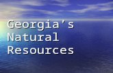 Georgia’s Natural Resources Water Resources North Georgia does not have major underground sources of water. –Underground sources found south of the Fall.