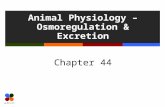 Animal Physiology – Osmoregulation & Excretion Chapter 44.