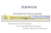 周围神经病 Peripheral Neuropathy Department of Neurology, The 2nd affiliated hospital, Harbin Medical University.