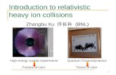 1 Introduction to relativistic heavy ion collisions Zhangbu Xu 许长补 (BNL) Quantum Chromodynamics Theory of color High-energy nuclear experiments Practice.