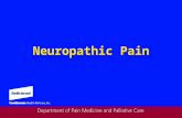 Neuropathic Pain. Pain Pathophysiology Nociceptive pain Nociceptive pain Neuropathic pain Neuropathic pain.