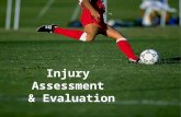Injury Assessment & Evaluation. Today’s topics...  Principles of range of motion testing, neurological testing, and special tests  Functional testing.