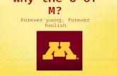 Why the U of M? Forever young, forever foolish.
