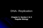 DNA- Replication Chapter 9, Section 2 & 3 Regular Biology.