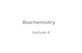 Biochemistry Lecture 4. Pyrimidine Nucleobases.