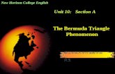 New Horizon College English Unit 10: Section A The Bermuda Triangle Phenomenon 泰山学院大学外语教学部 贝玉.