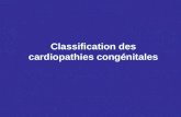Classification des cardiopathies congénitales. I - Physiopathologie : Chez le sujet normal, la petite et la grande circulation sont en série et leurs.