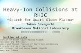 Heavy-Ion Collisions at RHIC ~Search for Quark Gluon Plasma~ Takao Sakaguchi Brookhaven National Laboratory 米国ブルックヘブン国立研究所 坂口貴男 Outline of talk