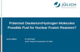 Mitglied der Helmholtz-Gemeinschaft on the LEAP conference Polarized Deuterium/Hydrogen Molecules Possible Fuel for Nuclear Fusion Reactors? by Ralf Engels.
