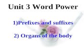 Unit 3 Word Power 1)Prefixes and suffixes 2) Organs of the body Unit 3 Word Power 1)Prefixes and suffixes 2) Organs of the body.