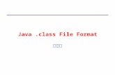 1 Java.class File Format 陳正佳. 2 Java Virtual Machine the cornerstone of Sun's Java programming language. a component of the Java technology responsible.