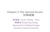 Chapter 3 The Special Senses 郭進榮 Jinn-Rung, Kuo 張菁萍 Ching-Ping Chang Department of Biotechnology Southern Taiwan University 特殊感覺.