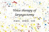 Voice therapy of laryngectomy 周谢玲、邵帼珺、关娇. Topics Laryngectomy * when * how * acoustics characters Voice theropy * different means Comparation.