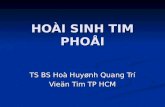 HOÀI SINH TIM PHOÅI TS BS Hoà Huyønh Quang Trí Vieän Tim TP HCM.