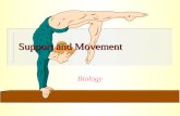Support and Movement Biology Author list 陳頌詩 黃建新 黃良君 黃秉誠 尹淑賢 5161R Group 2.