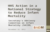 Recommendations for HHS Action in a National Strategy to Reduce Infant Mortality Secretary’s Advisory Committee on Infant Mortality (SACIM) November 14,