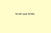 WAP and WML. WAP WAP = Wireless Application Protocol 웹을 통해서 무선 어플리케이션을 연결할 규약 ( 프로토콜 )