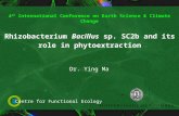 Dr. Ying Ma Rhizobacterium Bacillus sp. SC2b and its role in phytoextraction 4 th International Conference on Earth Science & Climate Change Centre for.