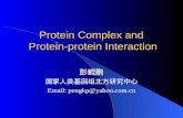 Protein Complex and Protein-protein Interaction 彭鲲鹏 国家人类基因组北方研究中心 Email: pengkp@yahoo.com.cn.
