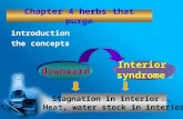 Chapter 4 herbs that purge introduction the concepts downward Interior syndrome 里实证 Stagnation in interior 胃肠积滞 ， Heat, water stock in interior.