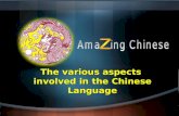 The various aspects involved in the Chinese Language.