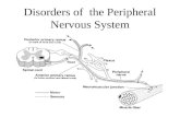 Disorders of the Peripheral Nervous System. Peripheral Nerve Disorders The spectrum of peripheral nerve disorders includes –Mononeuropathies (entrapment,