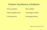 Protein Synthesis Inhibitors Tetracyclines Macrolides ChloramphenicolAminoglycosides ClindamycinStreptogramins Alan M. Reynared, Ph.D.