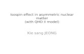 Isospin effect in asymmetric nuclear matter (with QHD II model) Kie sang JEONG.