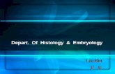 Luo Bin 罗 彬 罗 彬 Depart. Of Histology & Embryology.