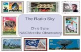 The Radio Sky Chris Salter NAIC/Arecibo Observatory.