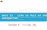 Section B 第五课时 (2a -3b) Unit 12 Life is full of the unexpected. 人教版 九年级下册.