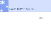 LWIP TCP/IP Stack 김백규. What is LWIP?  An implementation of the TCP/IP protocol stack.  The focus of the lwIP stack is to reduce memory usage and code.