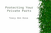 Protecting Your Private Parts Tracy Ann Kosa. Protecting Your Private Parts TASK Meeting, 27 February 2008 Objectives  Terminology  Privacy & Security.
