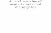 A brief overview of aerosols and cloud microphysics.