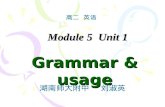 Module 5 Unit 1 Grammar & usage 高二 英语 湖南师大附中 刘淑英.
