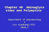 Chapter 40 Aminoglycosides and Polymyxins Department of pharmacology Liu xiaokang( 刘小康） 2010,3.
