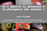 Qu’a apporté la génomique à la phylogénie des animaux ? Hervé Philippe Département de Biochimie, Centre Robert Cedergren, Université de Montréal, Succursale.