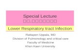 Special Lecture รพ. ชัยภูมิ Rattapon Uppala, MD Division of Pulmonology and critical care Faculty of Medicine Khon Kaen University Lower Respiratory tract.
