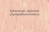 Adrenergic Agonists (Sympathomimetics). Characteristics of Adrenergic Agonists Most of adrenergic agonists are β-phenylethylamine derivatives. Substitution.