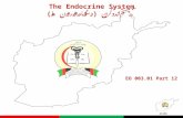AFAMS The Endocrine System سيستم اندوکرين (دستگاه هورمون ها) EO 003.01 Part 12.