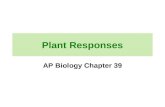 Plant Responses AP Biology Chapter 39. Plants respond by signal transduction pathways just like we do! Plants have cellular receptors that detect changes.