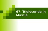 67. Triglyceride in Muscle. Insulin resistance and intramyocellular triglycerides Muscle: insulin-responsive glucose disposal, glucose flux 의 약 80% 나타남.