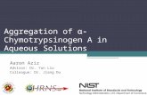 Aggregation of α-Chymotrypsinogen A in Aqueous Solutions Aaron Aziz Advisor: Dr. Yun Liu Colleague: Dr. Jiang Du.