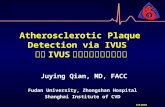 Atherosclerotic Plaque Detection via IVUS 应用 IVUS 检测动脉粥样硬化斑块 Fudan University, Zhongshan Hospital Shanghai Institute of CVD CIT 2010 Juying Qian, MD, FACC.