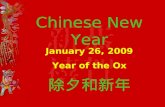 Chinese New Year 除夕和新年 January 26, 2009 Year of the Ox.