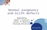 浙大医学院附属妇产科医院产科 Company LOGO Normal pregnancy and birth defects HuWenSheng Women’s Hospital School of Medicine Zhejiang University.