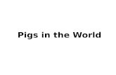 Pigs in the World. Pig Population No. pigs Pig Population.