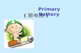 Primary Battery ( 原电池 ). What did Mrs. Green suffer from?